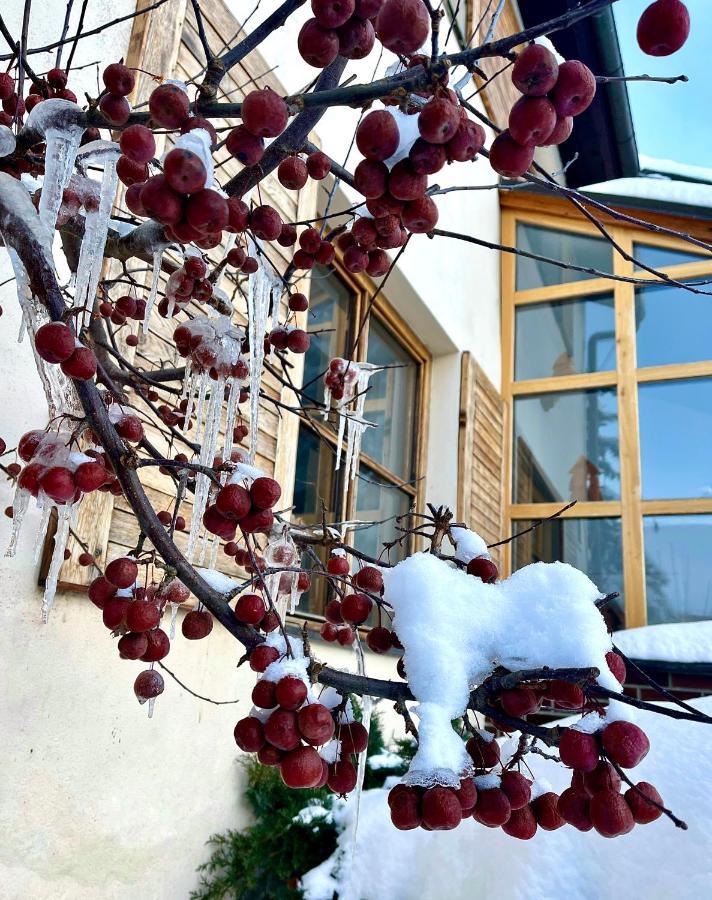 Hotel Stary Mlyn Єсеник Екстер'єр фото